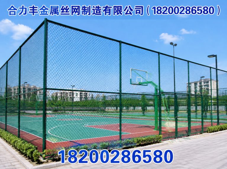 武侯区球场围网展示图